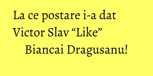La ce postare i-a dat Victor Slav “Like” Biancai Dragusanu!