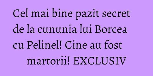 Cel mai bine pazit secret de la cununia lui Borcea cu Pelinel! Cine au fost martorii! EXCLUSIV