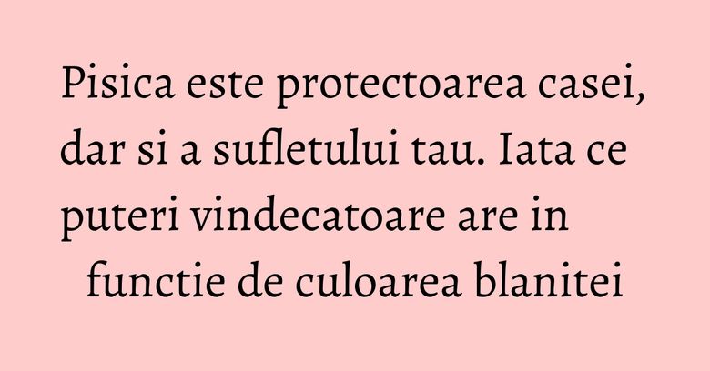 Pisica este protectoarea casei, dar si a sufletului tau. Iata ce puteri vindecatoare are in functie de culoarea blanitei Pisica este protectoarea casei, dar si a sufletului tau. Iata ce puteri vindecatoare are in functie de culoarea blanitei