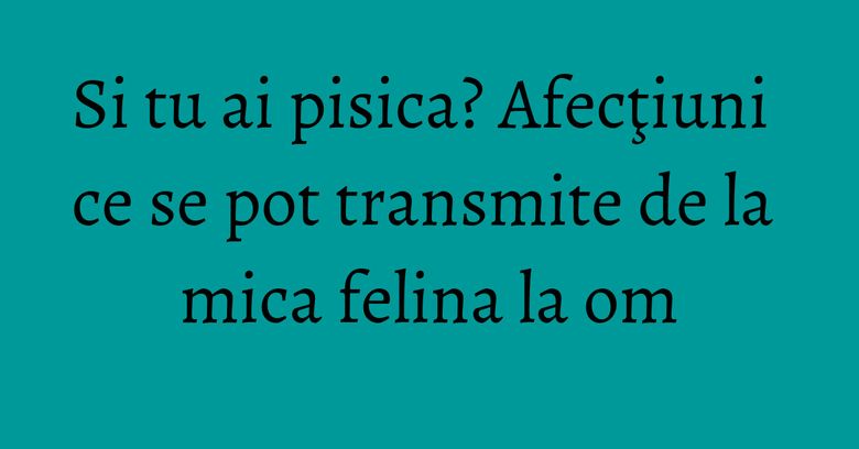 Si tu ai pisica? Afecţiuni ce se pot transmite de la mica felina la om