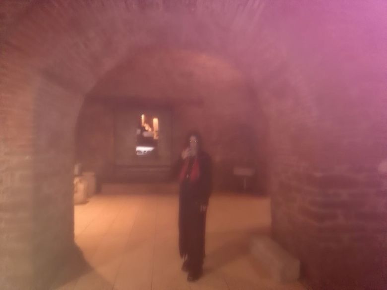 Vampirul care traieste in catacombele de sub Castelul Bran. Bathory bea sange de oameni si doarme in sicriu