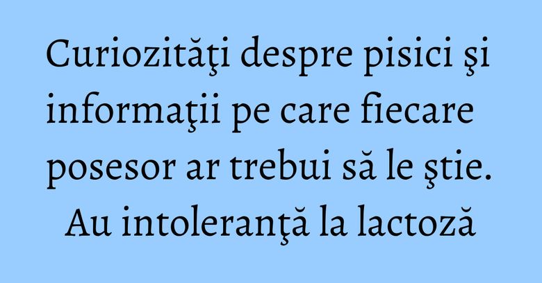 Curiozităţi despre pisici şi informaţii pe care fiecare posesor ar trebui să le ştie. Au intoleranţă la lactoză Curiozităţi despre pisici şi informaţii pe care fiecare posesor ar trebui să le ştie. Au intoleranţă la lactoză