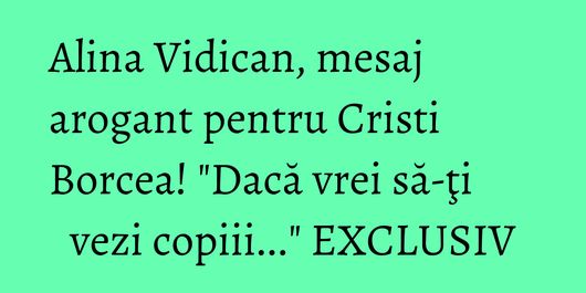 Alina Vidican, mesaj arogant pentru Cristi Borcea! 