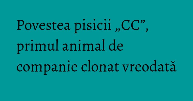 Povestea pisicii &bdquo;CC&rdquo;, primul animal de companie clonat vreodată