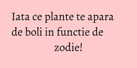 Iata ce plante te apara de boli in functie de zodie!