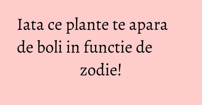 Iata ce plante te apara de boli in functie de zodie! Iata ce plante te apara de boli in functie de zodie!