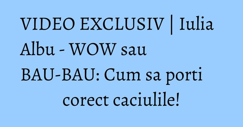 VIDEO EXCLUSIV | Iulia Albu - WOW sau BAU-BAU: Cum sa porti corect caciulile! VIDEO EXCLUSIV | Iulia Albu - WOW sau BAU-BAU: Cum sa porti corect caciulile!