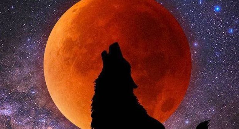 Eclipsă totală de Lună: "Super Luna sângerie a Lupului” afectează aceste zodii! Atenţie, la vrăji şi descântece Eclipsă totală de Lună: "Super Luna sângerie a Lupului” afectează aceste zodii! Atenţie, la vrăji şi descântece