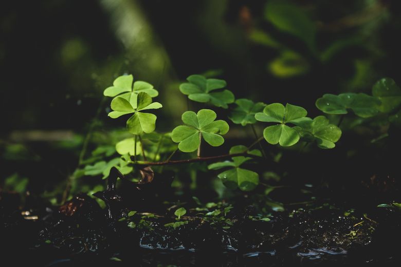 Aceste 5 ZODII vor avea CEL MAI BUN FEBRUARIE 2019. Iată LA CE VOR AVEA NOROC! Aceste 5 ZODII vor avea CEL MAI BUN FEBRUARIE 2019. Iată LA CE VOR AVEA NOROC!