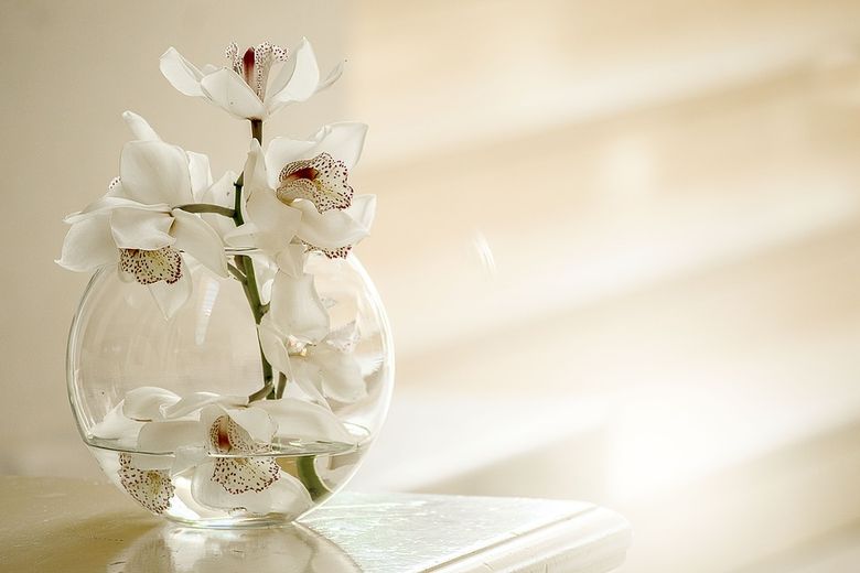 HOROSCOP complet martie 2019: Zodiile trec prin multe cumpene și ne&icirc;nțelegeri. Primăvara aduce probleme