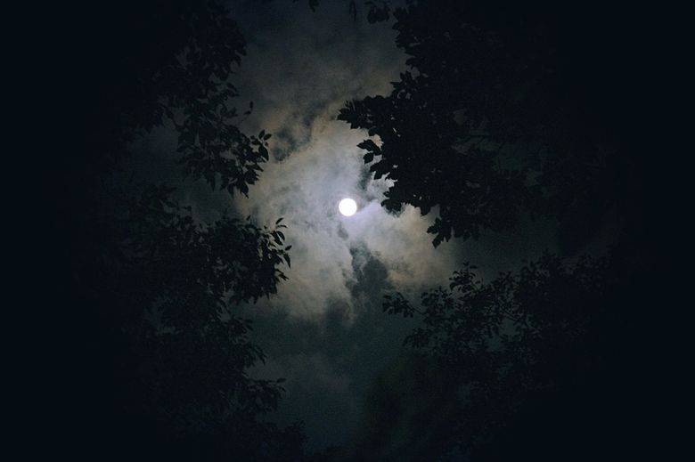 Ferește-te! Cât de MALEFICĂ este fiecare zodie, influențată de LUNA NEAGRĂ? Află în ce zodie ai LUNA NEAGRĂ după DATA NAȘTERII și ce spune despre tine! Ferește-te! Cât de MALEFICĂ este fiecare zodie, influențată de LUNA NEAGRĂ? Află în ce zodie ai LUNA NEAGRĂ după DATA NAȘTERII și ce spune despre tine!