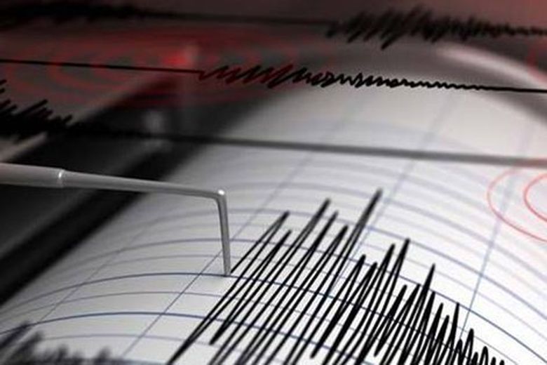 CUTREMUR &icirc;n Rom&acirc;nia cu magnitudine 4,1