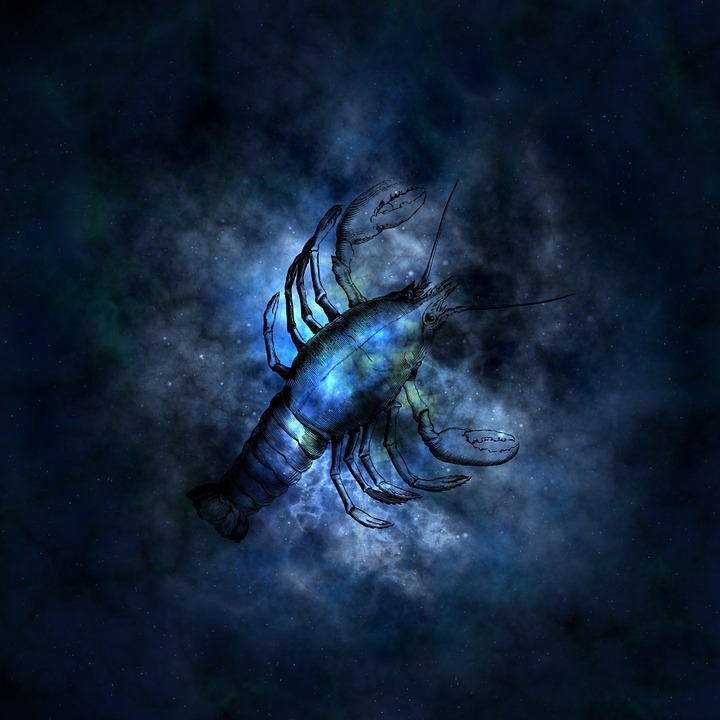 horoscop special