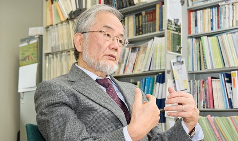 Dieta japonezului laureat cu premiul Nobel. Vei scăpa de kilogramele în plus şi te vei menţine tânără