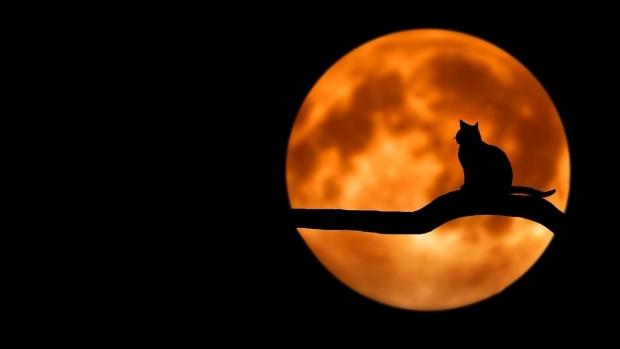 Horoscop Mariana Cojocaru pentru săptăm&acirc;na 12 18 august 2019 - zodia Scorpion