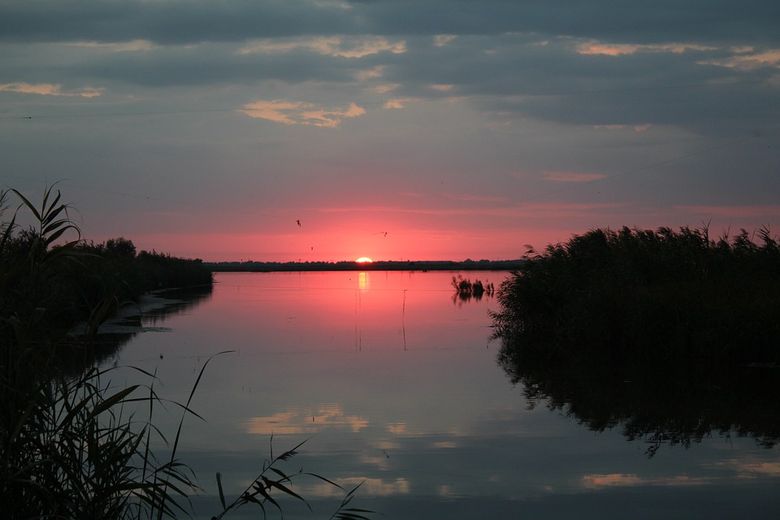 Obiective turistice în Delta Dunării - Ghid util pentru începători Obiective turistice în Delta Dunării - Ghid util pentru începători