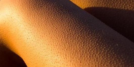 Ce înseamnă dacă ți se face ”pielea de găină” atunci când asculți muzică. Nu îți va veni să crezi