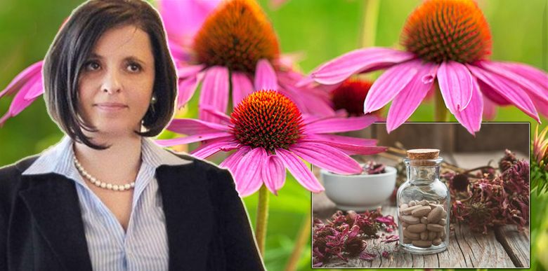 Lygia Alexandrescu îţi spune ce plantă te va ţine departe de batistă în sezonul rece! Beneficiile consumului de echinaceea!