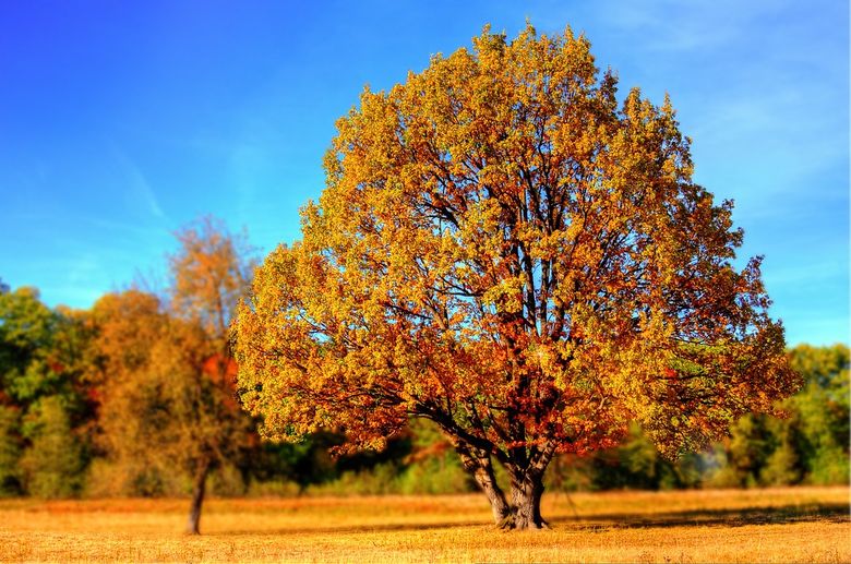 Vremea în România. Prognoza meteo pe două săptămâni! Când vin ploile