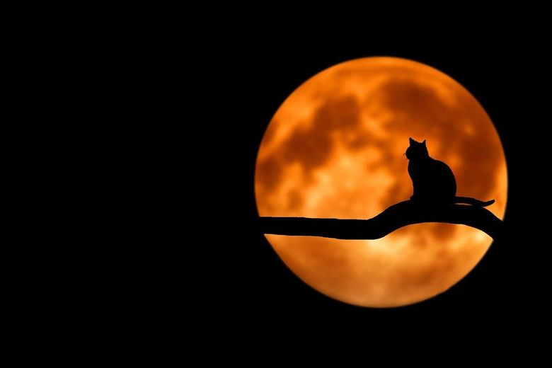 Cum îți influențează Luna visele, potrivit astroloagei Cristina Demetrescu Cum îți influențează Luna visele, potrivit astroloagei Cristina Demetrescu