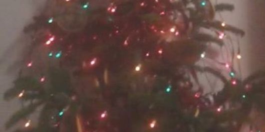 Incredibil, ce brad șocant și-a făcut una dintre cele mai îndrăgite concurente de la Exatlon!  Mariana Nenu a pus în el numai medalii