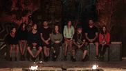 Survivor eliminare