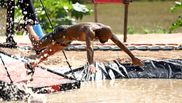 Faimoșii- două victorii la „Survivor Romania”,Razboinicii la eliminare