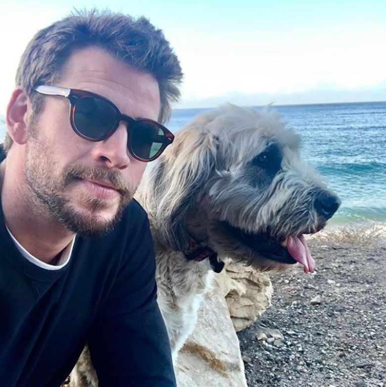 Cu cine se iubește Liam Hemsworth, după despărțirea de Miley Cyrus Cu cine se iubește Liam Hemsworth, după despărțirea de Miley Cyrus
