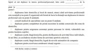 declaratie pe proprie raspundere