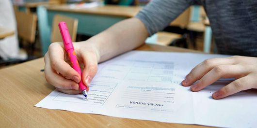Evaluare Națională 2020 și BAC 2020. Se vor amâna sau nu examenele?