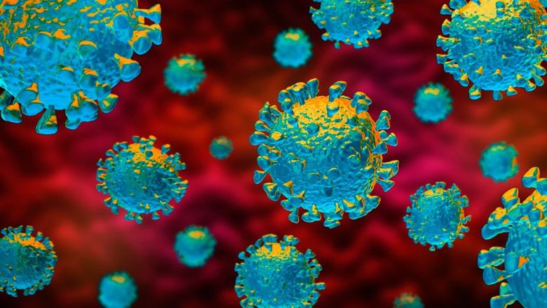 Au apărut articolele de îmbrăcăminte dedicate pandemiei de coronavirus! Vezi cum arată tricoul cu mesajul „Spală-te pe mâini!” și cel imprimat cu "Declarația pe proprie răspundere"! Au apărut articolele de îmbrăcăminte dedicate pandemiei de coronavirus! Vezi cum arată tricoul cu mesajul „Spală-te pe mâini!” și cel imprimat cu "Declarația pe proprie răspundere"!