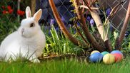 Mesaje de Paște. Cele mai frumoase mesaje de Paște pentru cei dragi. Mesaje amuzante și mesaje de suflet