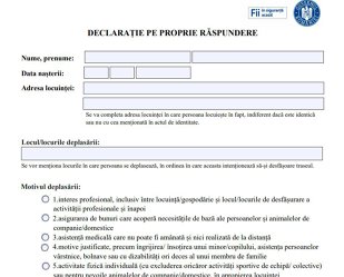 declarația pe proprie răspundere, cum arată, cum trebuie completat, documentul, declarație model