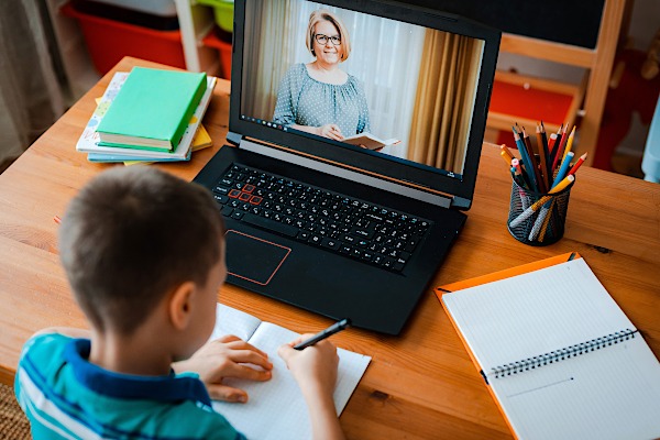 situația școlară, școala online, acces la tehnologie, elevi, monica anisie