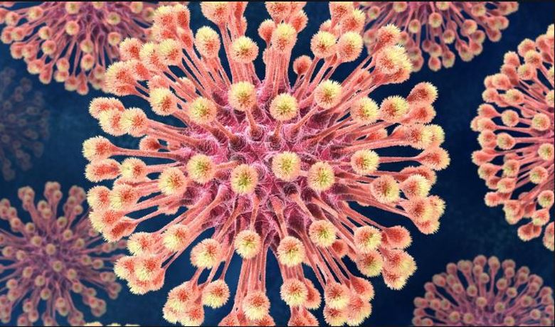 Conf.Dr. Sanda-Maria Crețoiu: “Ființa umană este constituită în mare parte din microbi” Totul despre efectele lor în organism!