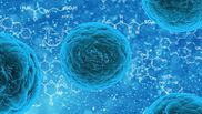 epidemie, ebola, congo, epidemie de ebola, directorul oms