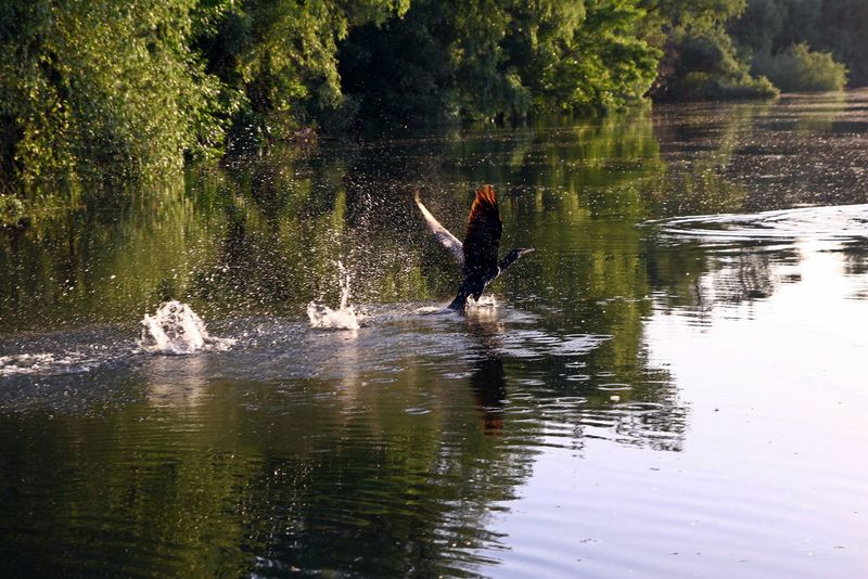 roventura, sambata, delta dunarii, raiul romaniei