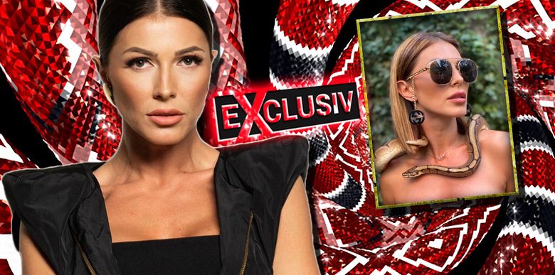 Ilinca Vandici, pictorial periculos cu șerpi! FOTO EXCLUSIV cu vedeta "Bravo, ai stil! - Celebrities" Ilinca Vandici, pictorial periculos cu șerpi! FOTO EXCLUSIV cu vedeta "Bravo, ai stil! - Celebrities"