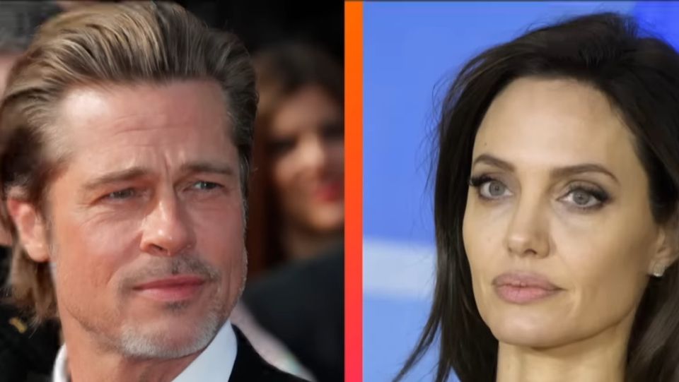 brad pitt podgorie, angelina jolie proces, brad pitgt angelina jolie vinuri