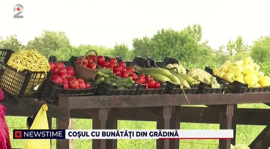 legume romanesti, producatori locali, satu mare