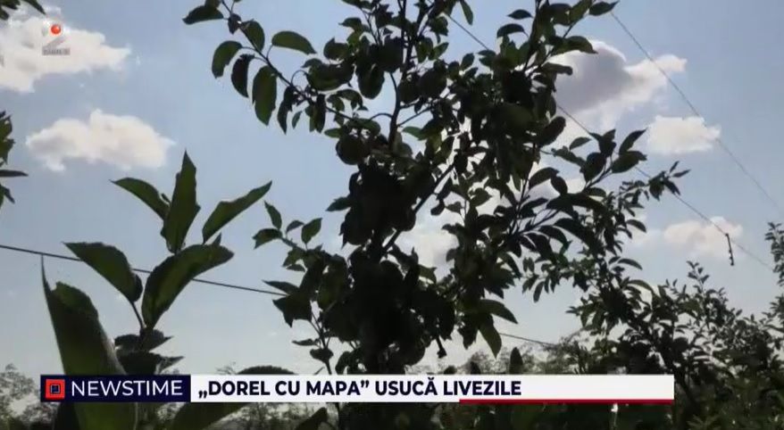 vaslui, livezi uscate, sisteme de irigatii, dorel