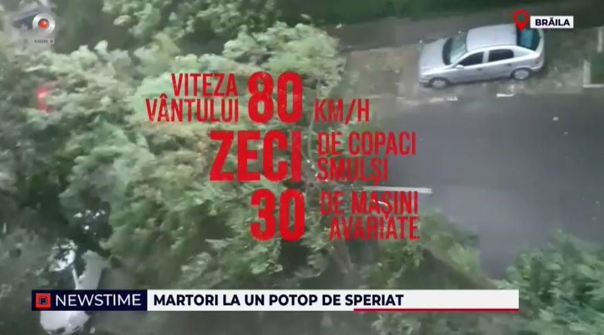 furtuna, braila, copaci scosi, viitura