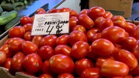 Roșii românești cu semințe de import