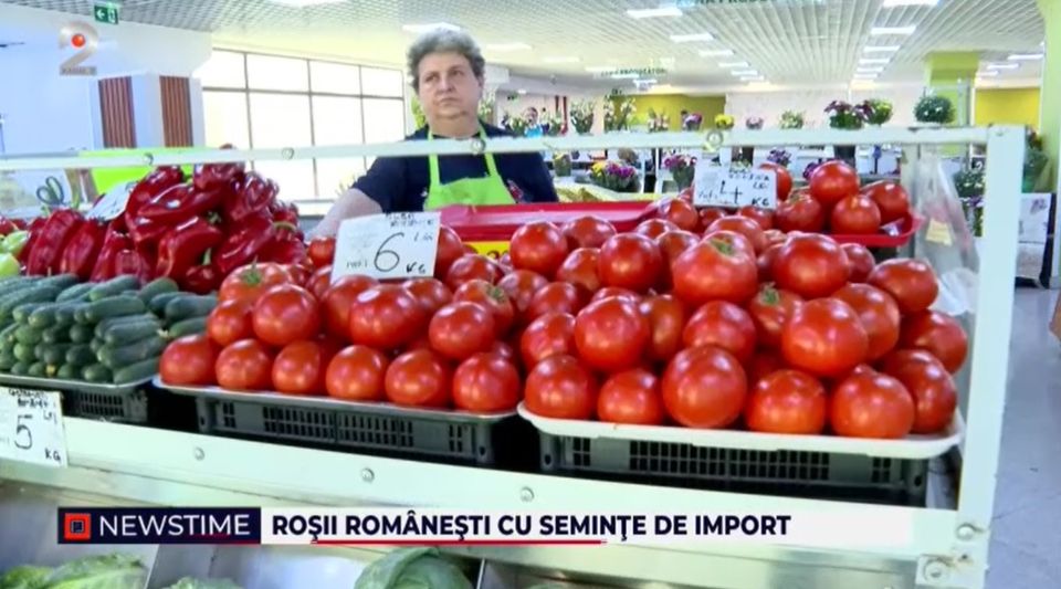 rosii romanesti, agricultura, seminte rosii