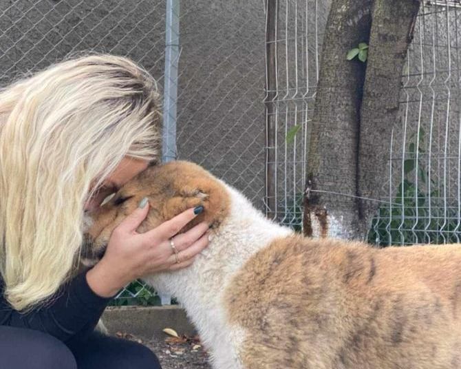 moarte camelia focșani 