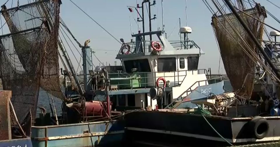marea neagra, peste romanesc, pescari, ajutor ue 