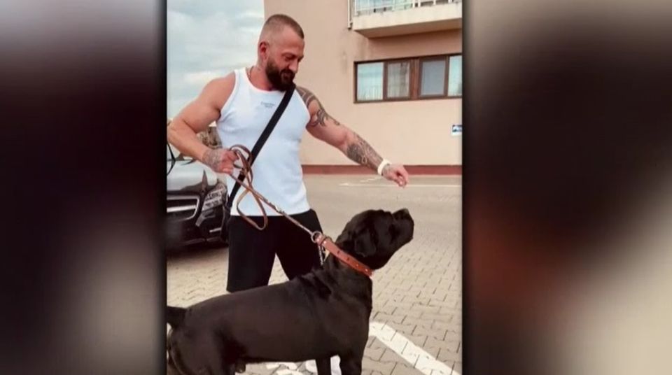 interlopi capitala, nutu camataru, anchetatori 