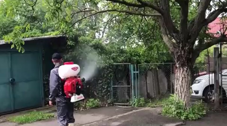 insecticid, febra galbena, west nile, tantari 