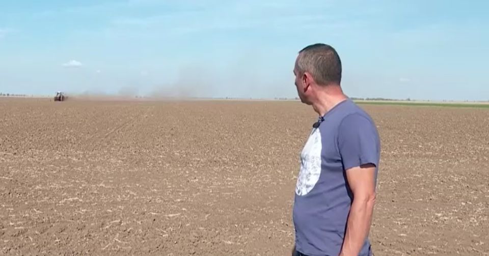 paine, scumpiri 2023, seceta, agricultura romania 