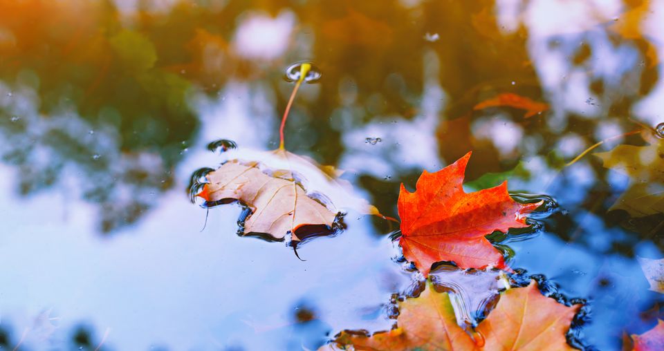 vremea noiembrie 2023 